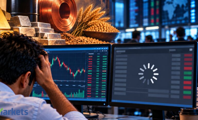 MCX traders complain of commodity position prices not reflecting on Zerodha, broker blames delay in exchange reports
