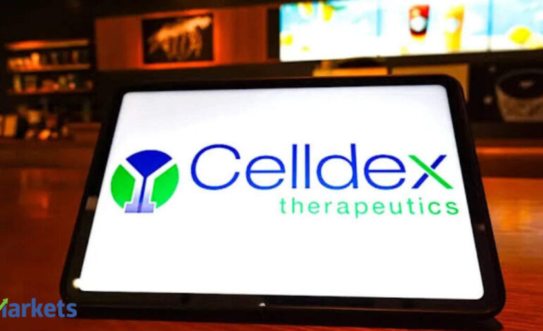 Celldex shares slip 15% as safety concerns cloud skin drug trial win