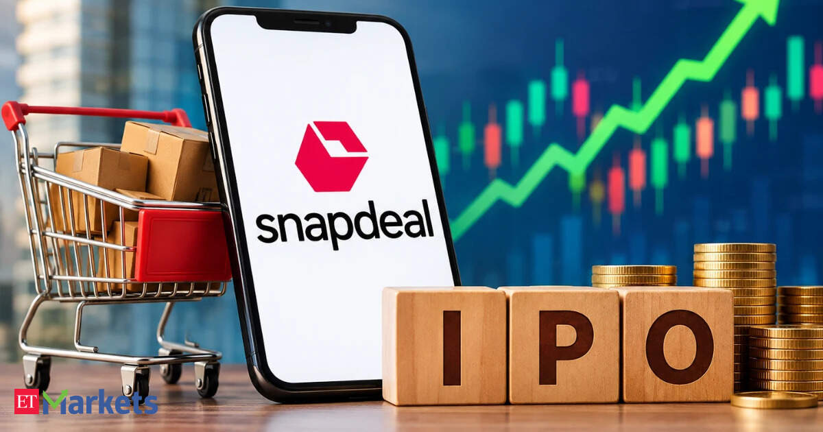 Snapdeal IPO: GMP, price band among 10 things to know about AceVector public offer