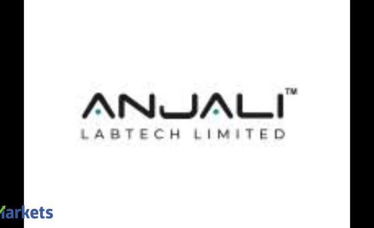 Lab-grown diamond manufacturer Anjali LabTech files updated papers for Rs 1,225 cr IPO