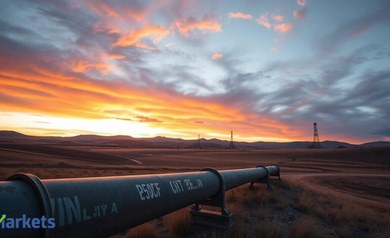 Natural gas defies energy shock as strong supply keeps prices in check